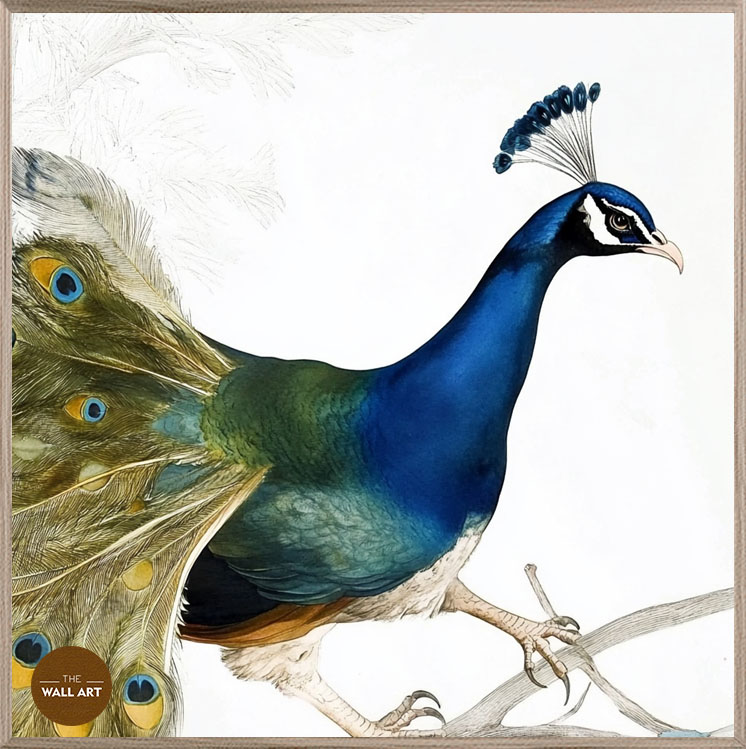 images/products/peacock_on_branch/peacock_on branch_OAK_P.jpg